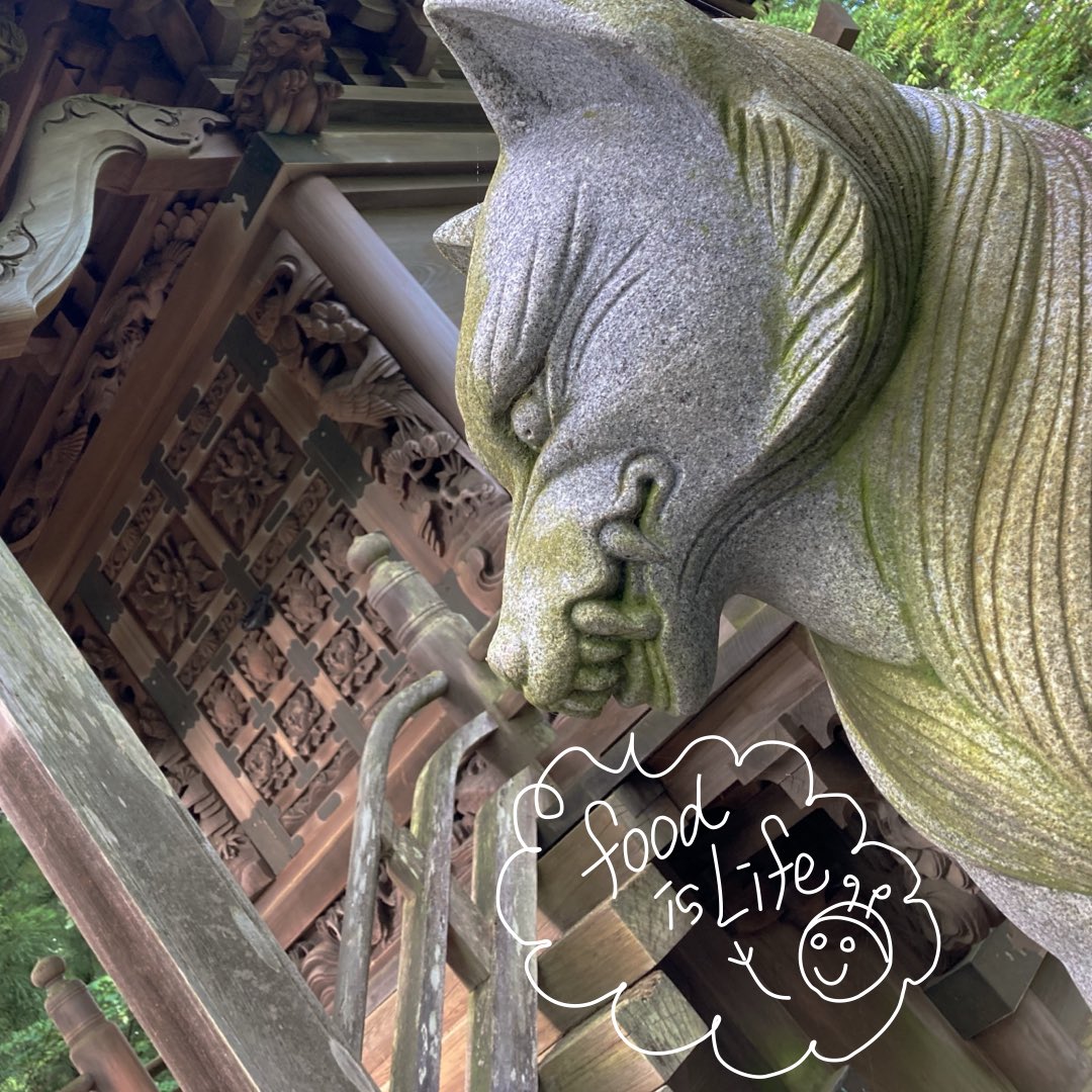 aritoyoga's tweet photo. 人は一生で約88000回の食事をすると聞く。

88000回中最期の何回に至っては、もう食という概念は自分にはないのかも知れない。

それでも食は続く。
なぜなら呼吸と同じく私たちが生きるため途絶えてはならぬものだから。

この牙を使って狼のように今日も貪る。 https://t.co/pDeLaiO60C
