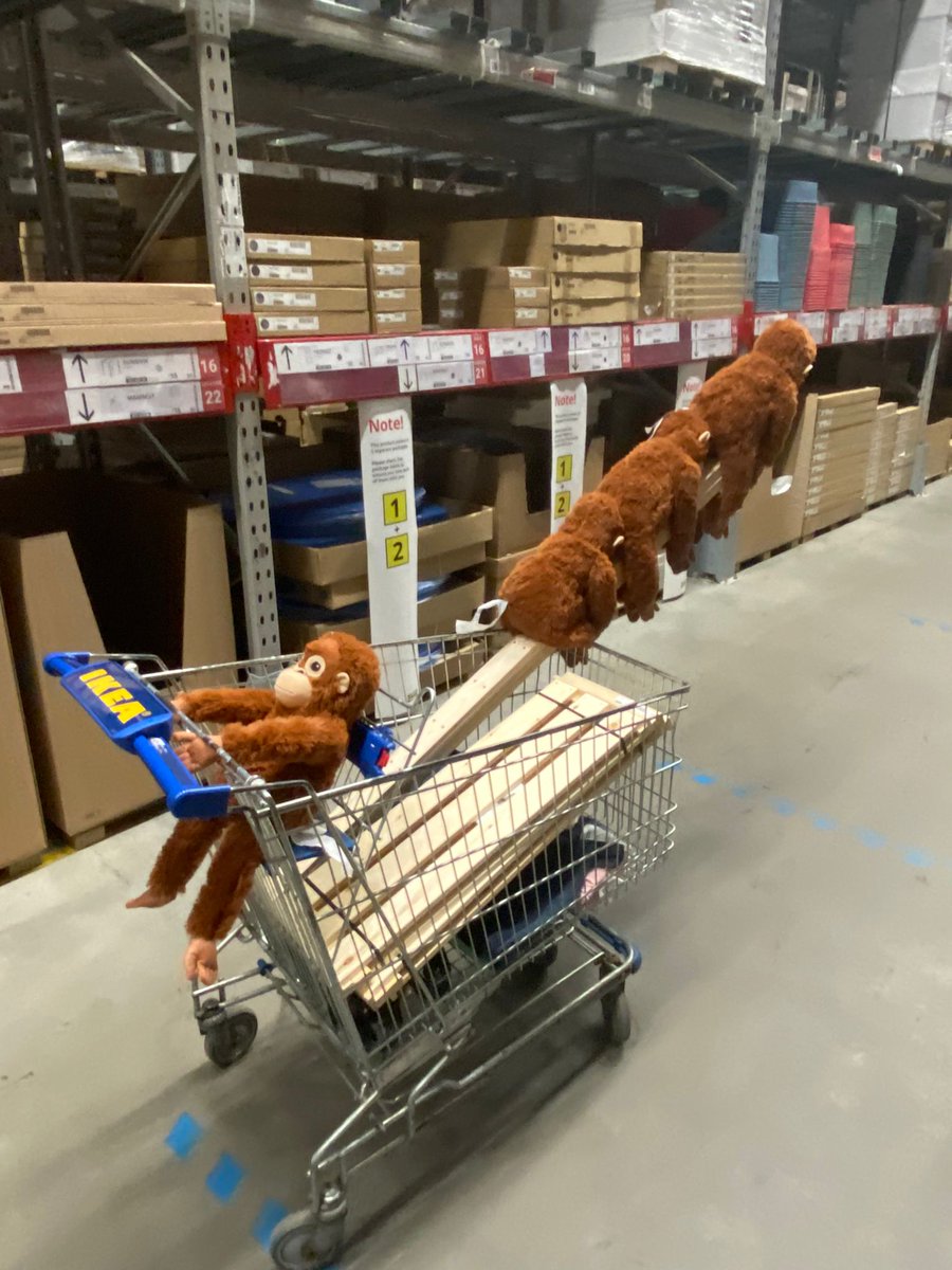 Countess WestMTS 🌞☕🎶🐈🐈✖️➕️➖️➗️🟰 tweet media