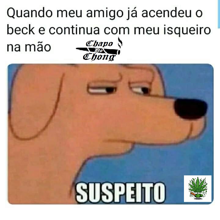 Chapo Do Chong (@chapodochong) on Twitter photo 