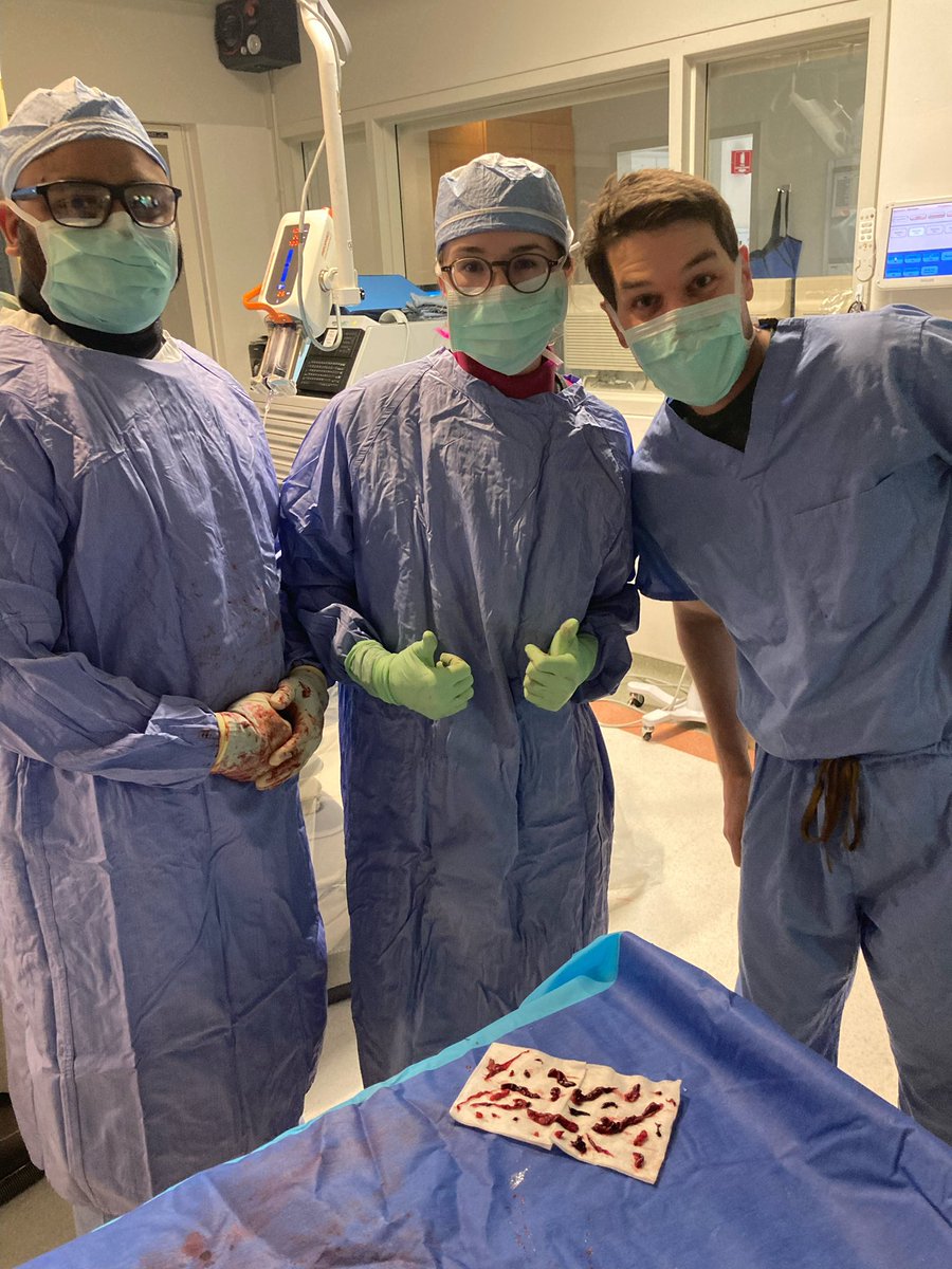 CammarataLexi's tweet photo. #tbt to my first Inari thrombectomy! @VIRDelaware 
#radres #radiology #VIR https://t.co/usJUltwI5r