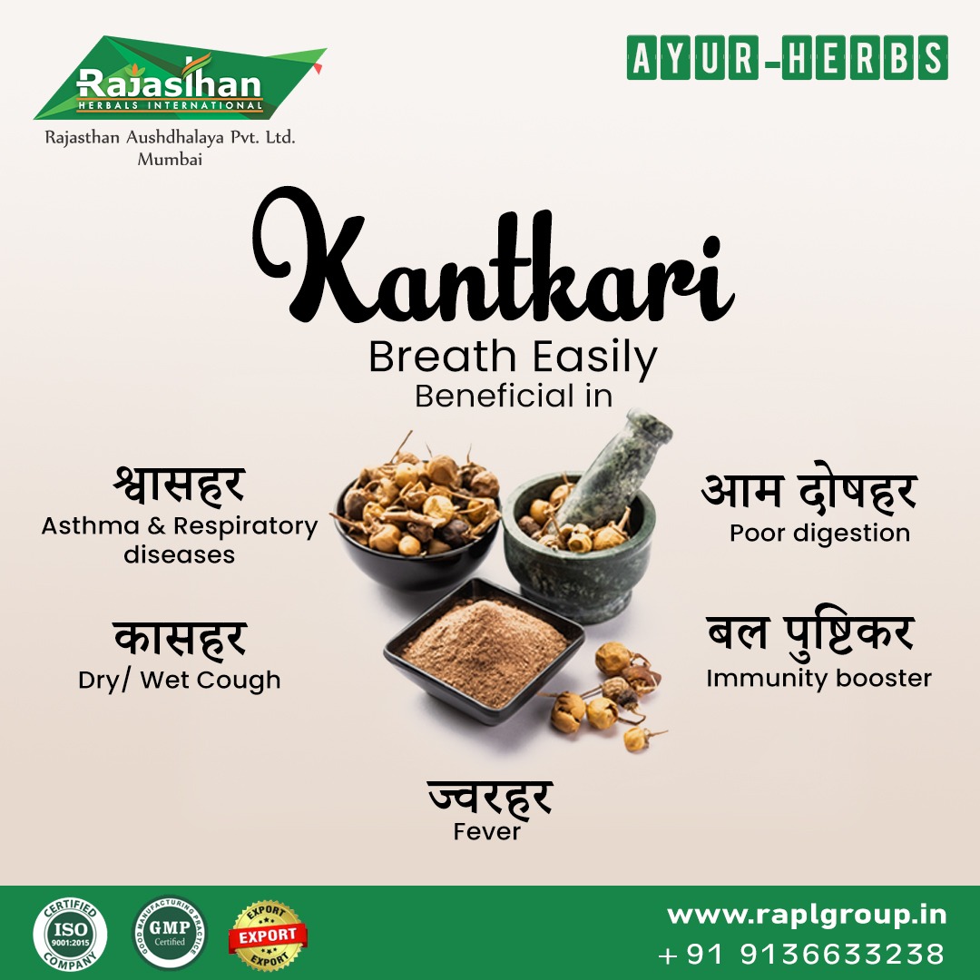 raplgroup's tweet photo. 🌿Kantkari is a potent Vata & Kapha pacifier & one of the #dashmula Herb Members
🌿It helps to clear #mucous & ease shortness of breath
🌿Additionally, it possesses #antipyretic effects that aid in lowering #bodytemperature , making it effective in treating respiratory disorders like #asthma #TheFlu & #cold
🌿Kantkari is used in Rajasthan Aushdhalaya Dama Buti Churna - Avaleh & Capsule Asthalex to strengthen the #herbal respiratory care formula, thus making it more effective for treating Asthma & other Respiratory conditions
#kantkari #solanumvirginianum #ayurherb #breathIssues #RespiratoryDisorders #RespiratoryHealth #AsthmaRelief #DamaButiChurna #damabutiavaleh #asthalex #capsules #herbalremedies #Ayurveda #raplgroup