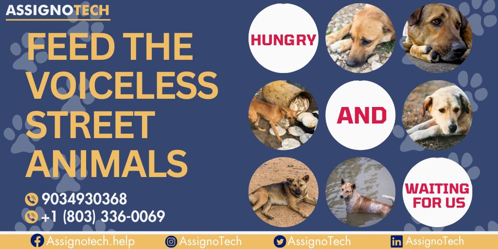Every bite brings happiness and health to these precious pups! 🐾 #HappyPaws #NutritionMatters #DoggieDelights #FeedThePets #FurBaby #DoggoJoy #PamperedPups #FurBuddies #DogLife #HappyPaws #PetLove #FeedingFrenzy #LoveMyPets #DoggoDelights