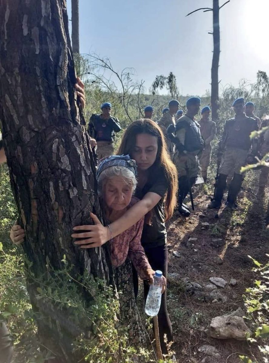 Ülkemiz öyle bir duruma geldi ki; Gelişmiş bir ülkede devletin koruduğu Sandığı da, ormanı da , doğayı da korumak vatandaşlarımıza kaldı. Ah benim güzel ülkem… #Akbelen #AkbelenOrmanKatliamınaSon #iklimkrizi #kemer #OrmanlaraDokunma