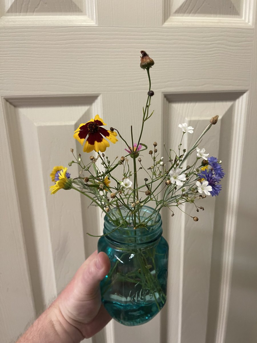 Steven Sproles (@steven_sproles) on Twitter photo Goooood Thursday morning!! Enjoy these wildflowers from « Steven’s Friendly Florals » (aka my small container garden). 😊❤️ 
#FlowersOfTwitter #wildflowers #choosejoy #bethechange Goooood Thursday morning!! Enjoy these wildflowers from « Steven’s Friendly Florals » (aka my small container garden). 😊❤️ 
#FlowersOfTwitter #wildflowers #choosejoy #bethechange