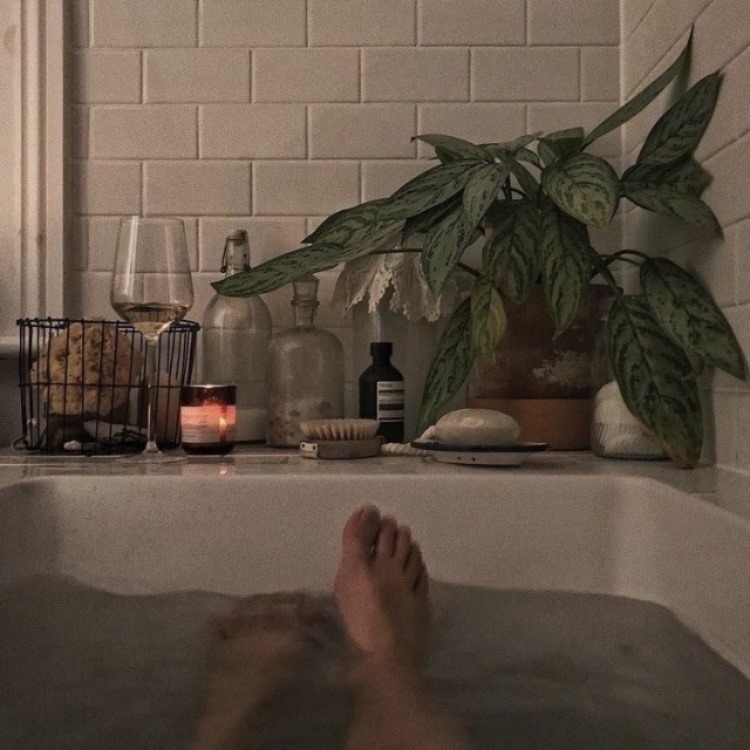 dochxman's tweet photo. 𝙊𝙃, 𝙃𝙊𝙒 𝙂𝙊𝙊𝘿 𝙏𝙊 𝘽𝙀 𝘽𝘼𝘾𝙆
◟ rol w @MSCPRST https://t.co/DROEqE06l4
