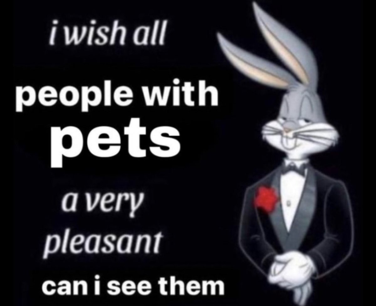 Braindead Bird App tweet media