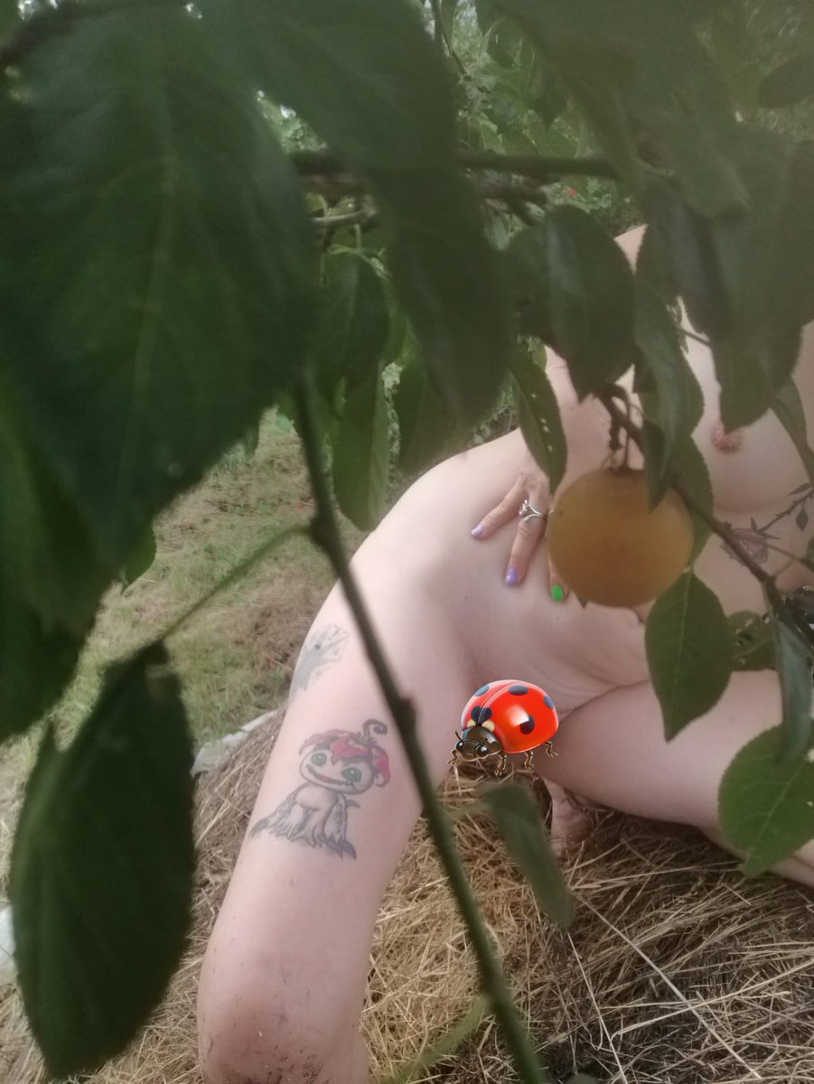TijanaDementia's tweet photo. Ako me lep broj vas subscribe-uje , mozdaa ce biti i snimaka ❤️ ako ne nikom nista https://t.co/3OT0tJjjQn https://t.co/n8AeQH5aEs