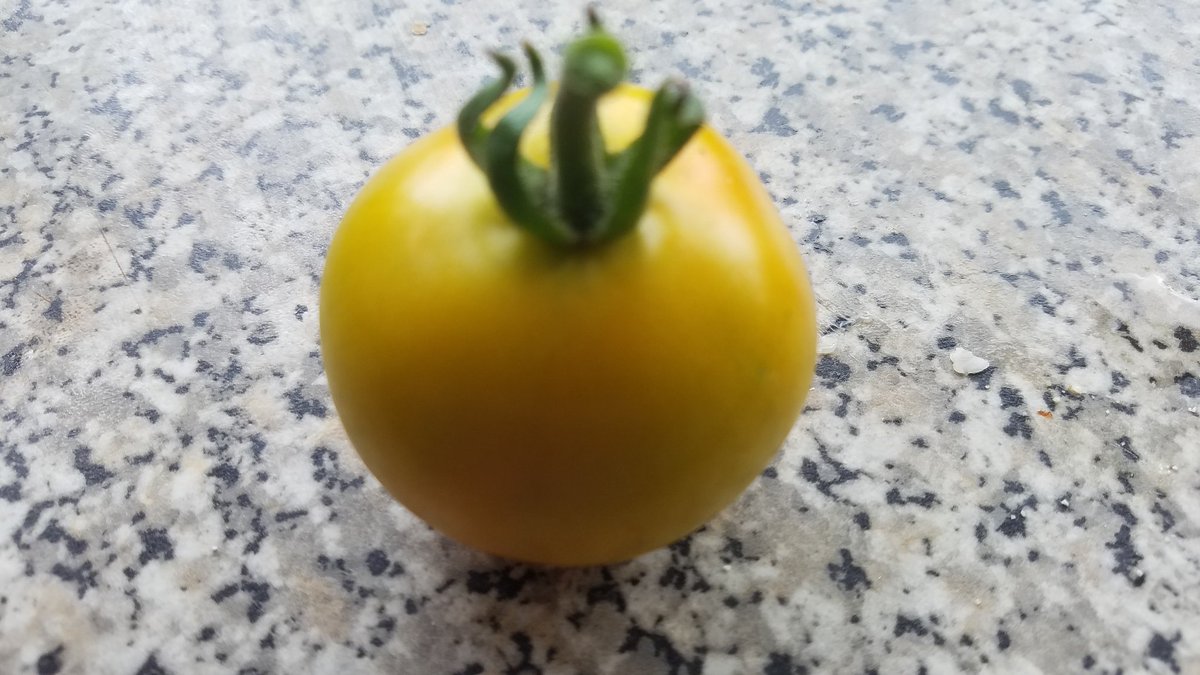 Anne Swithinbank tweet media