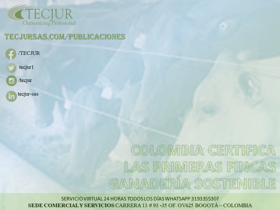 TECJUR1's tweet image. Colombia Certifica Las Primeras Fincas en Ganadería Sostenible 
______________________
➠Leer mas aquí n9.cl/wycil ✍
::::::::::::::::::::::::::::::::::::::::::::
#tecjur,  #certifica #fincas #ganadería #sostenible #publicaciones,  #colombia, #bogotá,