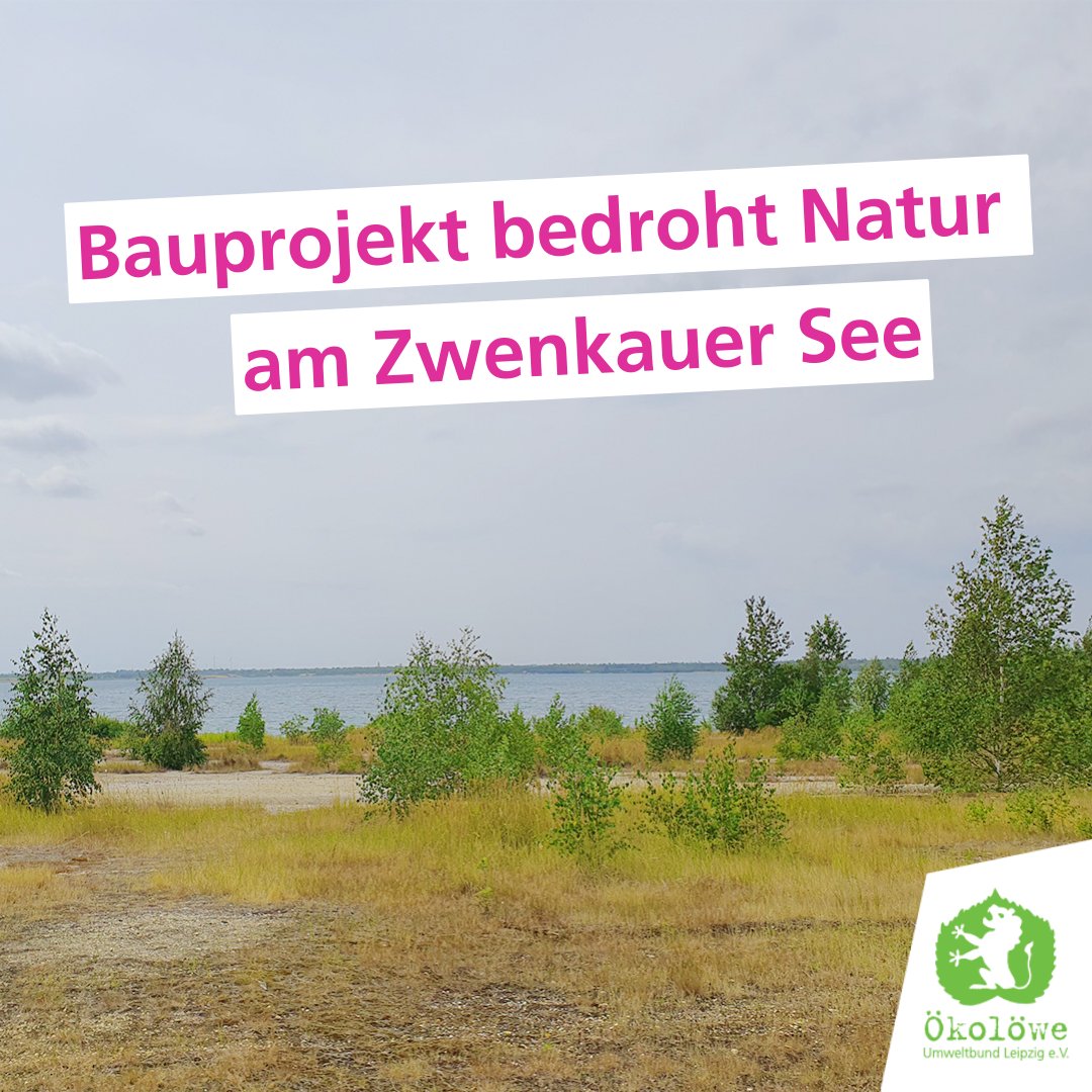 Am Nordufer des Zwenkauer Sees soll ein wertvoller Lebensraum einer großen Ferien- und Campinganlage weichen.😱Das darf nicht passieren! Wir Ökolöwen fordern von der Stadt, die Fläche zum Schutzgebiet zu erklären, um sie dauerhaft vor Bebauung zu schützen! oekoloewe.de/umweltpolitik-…