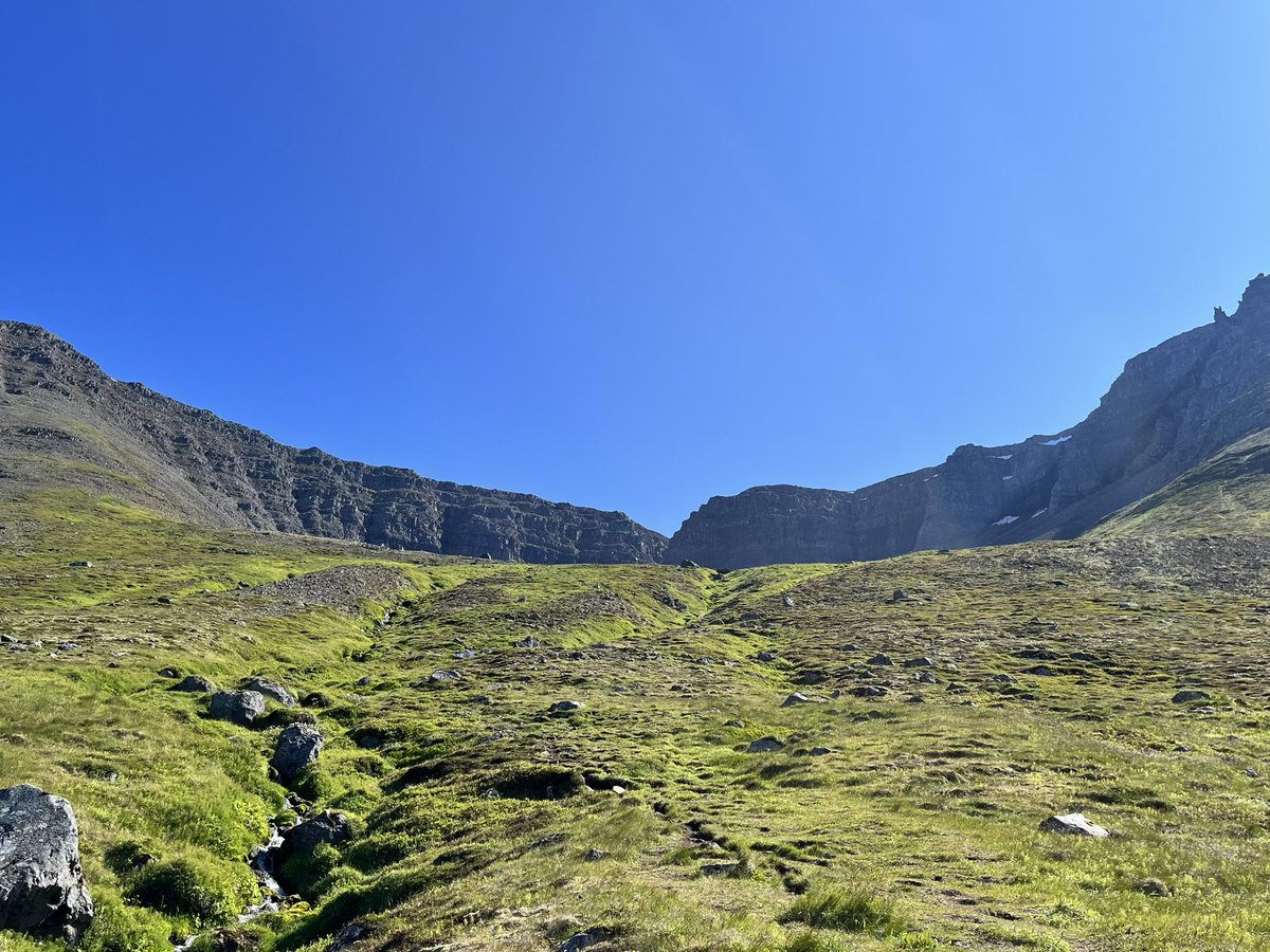 Greipur Gíslason tweet media