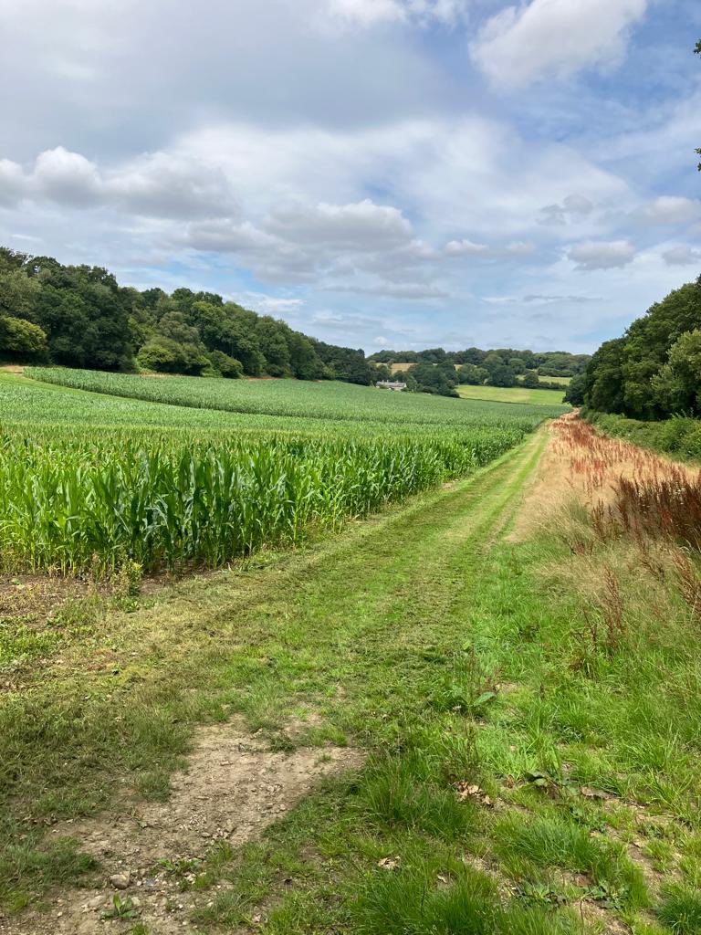 With help from Jake - the farm manager - we have been giving the maize demo site a bit of TLC in preparation for the open evening on 23rd August! 🌽👍💚

Starting at 4pm with free beer and BBQ it’s a must for you diary! 

Please let us know any questions.👌👌

#farminguk
