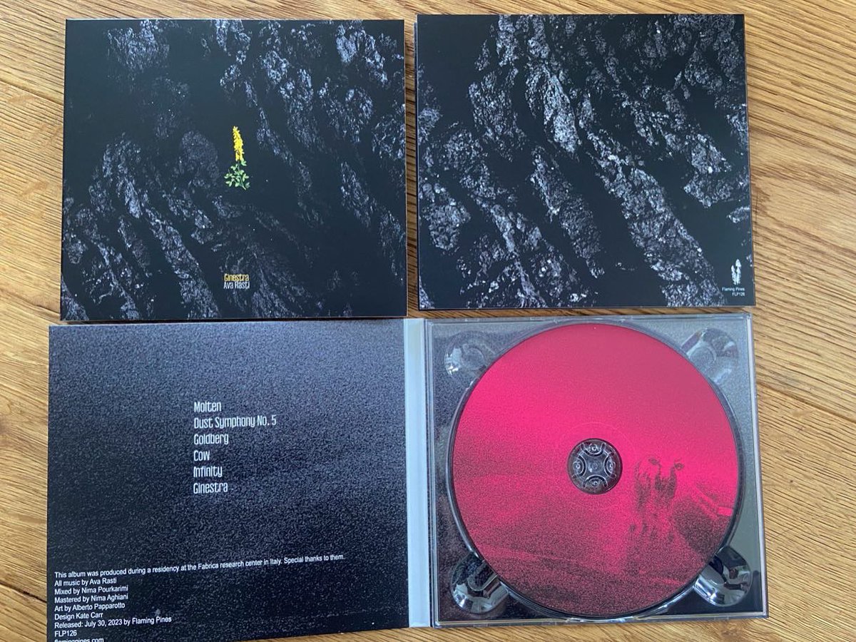 FlamingPines's tweet photo. Out tomorrow 
@AvaRasti Ginestra
Beautifully mastered by @NimaAghiani https://t.co/3IzURd2tnu