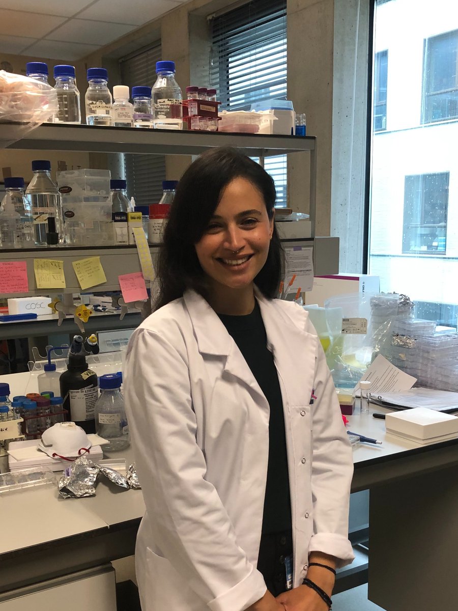 Colinda Scheele (@colindascheele) on Twitter photo Congratulations to our postdoc <a href="/larissamourao_/">Larissa Mourão</a> for receiving a 4 year postdoctoral mandate to study the dynamics of early breast cancer 👏👏 Thank you <a href="/Stkstichting/">StichtingtegenKanker</a> for funding our research 🙏<a href="/vib_ccb/">CCB_VIB_KUL</a> <a href="/Onco_KULeuven/">Department of Oncology - KU Leuven</a> Congratulations to our postdoc <a href="/larissamourao_/">Larissa Mourão</a> for receiving a 4 year postdoctoral mandate to study the dynamics of early breast cancer 👏👏 Thank you <a href="/Stkstichting/">StichtingtegenKanker</a> for funding our research 🙏<a href="/vib_ccb/">CCB_VIB_KUL</a> <a href="/Onco_KULeuven/">Department of Oncology - KU Leuven</a>