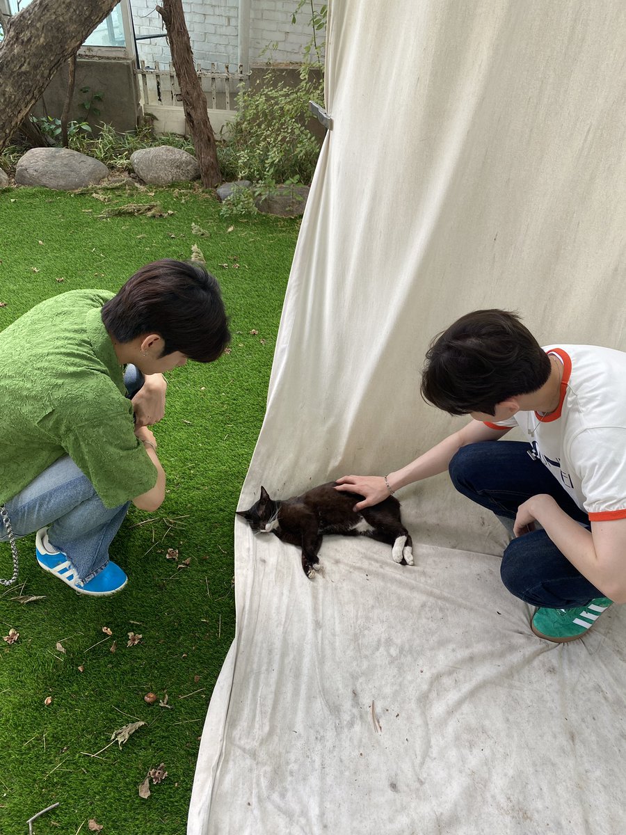 wakeone_trainee's tweet photo. 아직도 꿈만 같고…
벌써 나흘이나 지났다는 사실이 믿기지 않는데요
여러분 덕분에 팬미팅을 준비하는 과정도 많은 기대와 함께 즐겁게 준비했고, 여러분들 앞에서 무대에 설 수 있어서 너무너무 행복했던 최고의 이틀이었습니다
항상 너무 고맙고, 사랑합니다

#문정현 #MUNJUNGHYUN https://t.co/Asa8YgGu8A
