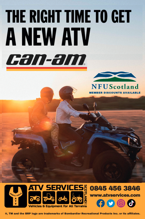 Imel Ltd tweet media