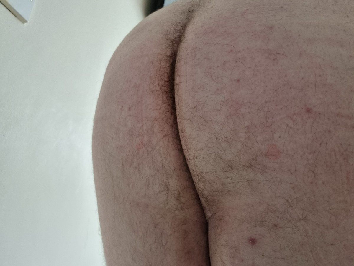 Subbycub's tweet photo. In from work and horny as hell! Both need a seeing to! Help a horny cub in the DMs ;)
#gay #gayarse #gaybottom #gaybear #gaycub #gaycock #gaydick #hornygay #gaypubes #dmsopen https://t.co/KkbRmyEDQL