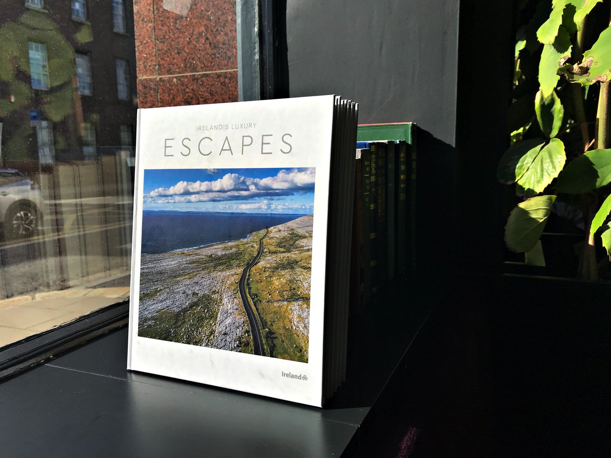 256 Content tweet media