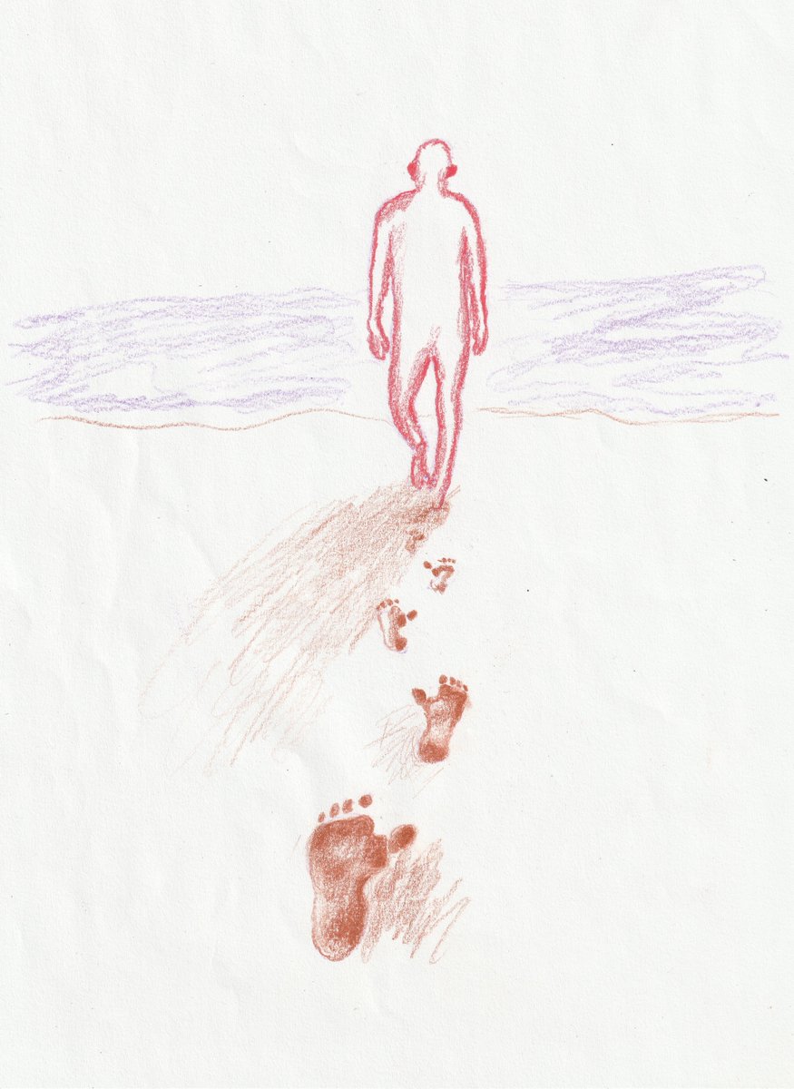 Mareta de  las fanecas. Los cuadrumanos dejan su rastro por donde pasan.