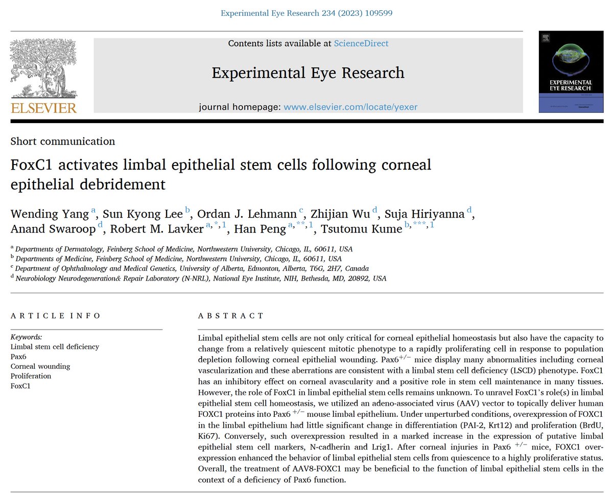 Our new publication 'FoxC1 activates limbal epithelial stem cells following corneal epithelial debridement' on Experimental Eye Research.

Link:
authors.elsevier.com/a/1hU873ImrFbzW

#experimentaleyeresearch
#cornea 
#stemcells 
#limbalstemcells
#eyeresearch