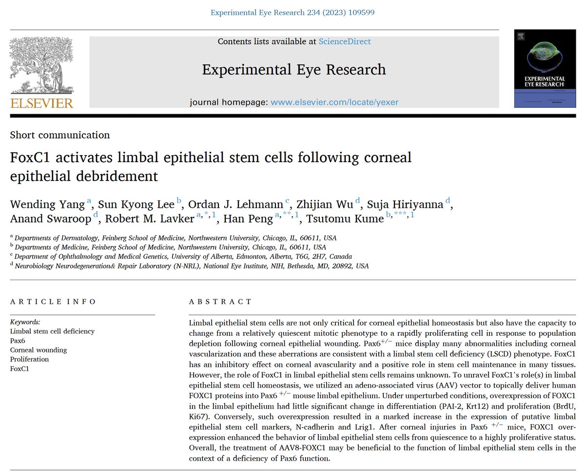 LavkerLab's tweet photo. Our new publication "FoxC1 activates limbal epithelial stem cells following corneal epithelial debridement" on Experimental Eye Research.

Link:
https://t.co/BNVve84Rkb

#experimentaleyeresearch
#cornea 
#stemcells 
#limbalstemcells
#eyeresearch https://t.co/cOpRHrNQJR
