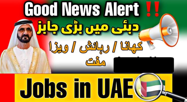 DailylivesNews2's tweet photo. United Arab Emirates Latest Jobs Vacancies 2023 https://t.co/OH0uKtclzg via @DailyLivesNews.Com https://t.co/N4g4jRfTGG
