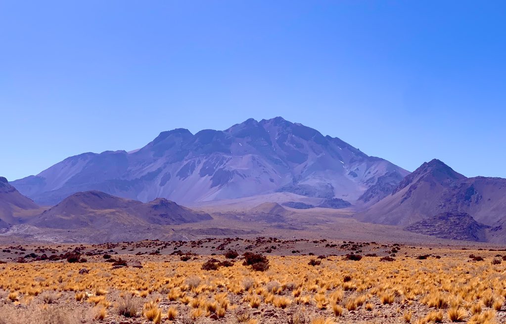 Teresa Ubide tweet media