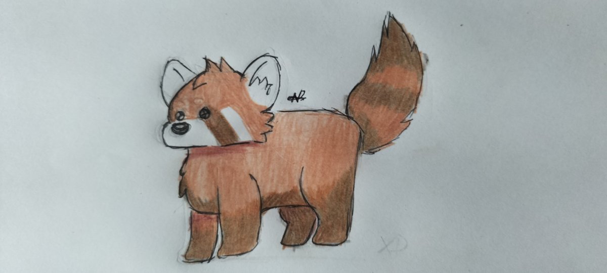 s1mplys1wy's tweet photo. czerwona pandzia :3 [ #redpanda #ewroniary #animalDraw ] https://t.co/iNA2POKqfm