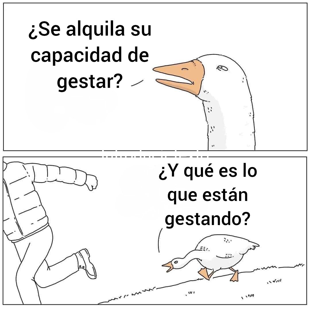 Shaka_zulu1989's tweet photo. @SiberetSiberet Rayo yendo a la panadería.
- Hola, vengo a alquilar vuestra capacidad de hornear pan.
- ¿Quiere comprar pan?
-  Quiero su capacidad de gestar, digo hornear pan. Falso. https://t.co/cH8Ny89tuv