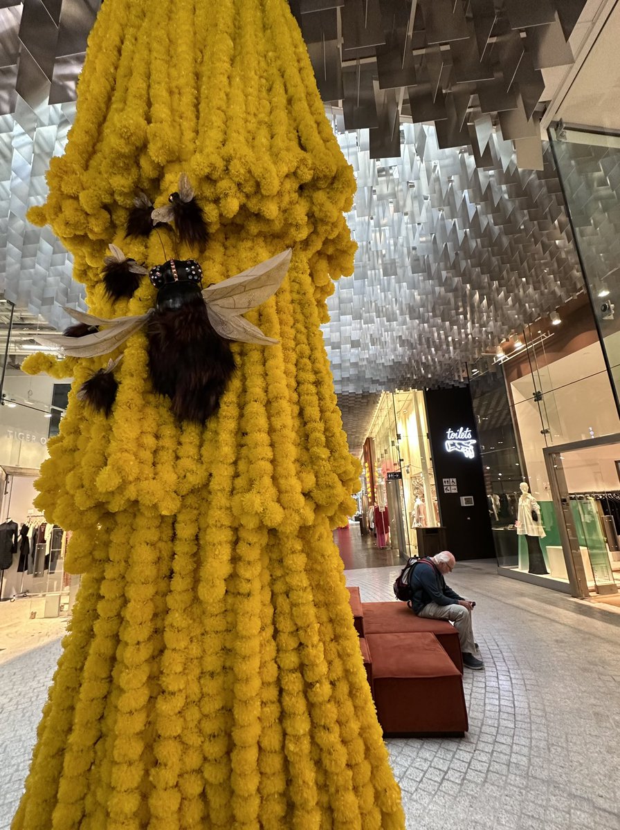 I am in Oslo for holidays but I still find fruit flies everywhere 🧬 <a href="/ilandavislab/">ilandavislab</a>