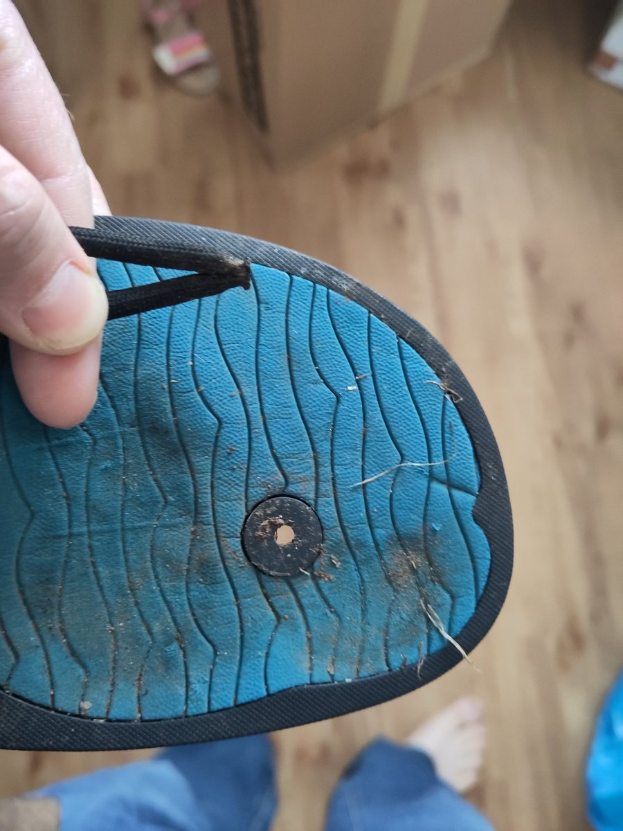 Mastodon: @benev@mastodon.social tweet media