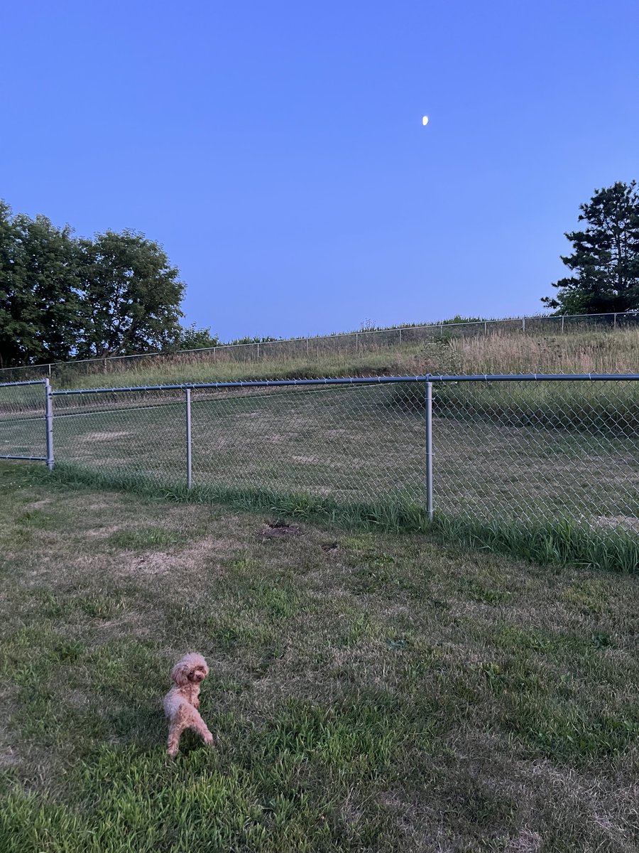 pejacoby's tweet photo. Day 3 of #wwwd31 on the books. A bit disorganized yesterday as the whole family came with, so it became dog park and ice cream amidst #allTheWifi
11 fox 🦊 points now!
#barkAtTheMoon #wardrive #family #dotsOnMaps #wwwd
@wiglenet https://t.co/flHdoOGyjd