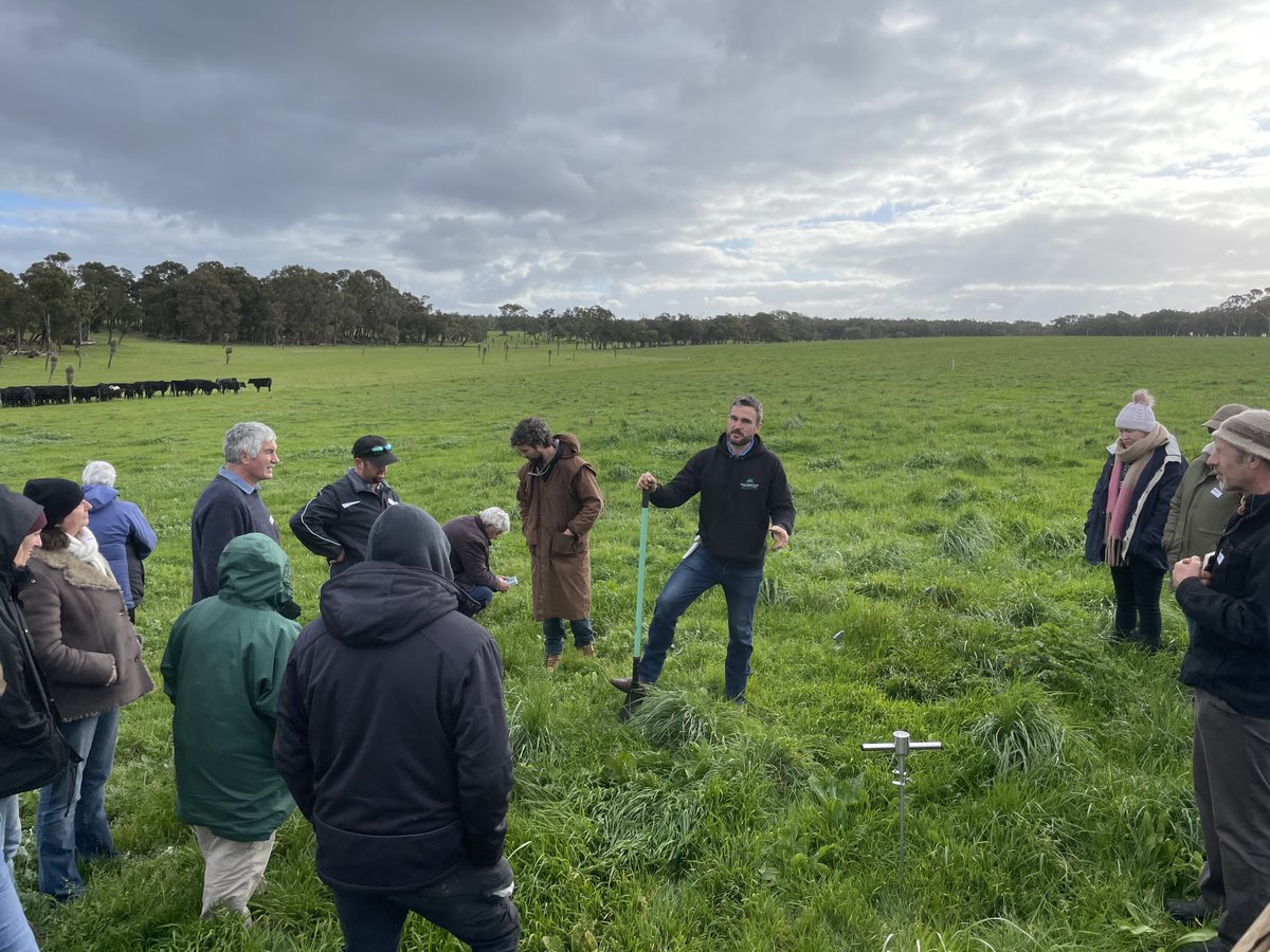 DobbeEric's tweet image. Really great day hosting Grant Sims, Proff Lyn Abbott and Torbay Catchment. Supported by SoilWise, talking all things soil health and plant diversity, through cover cropping and perennials.