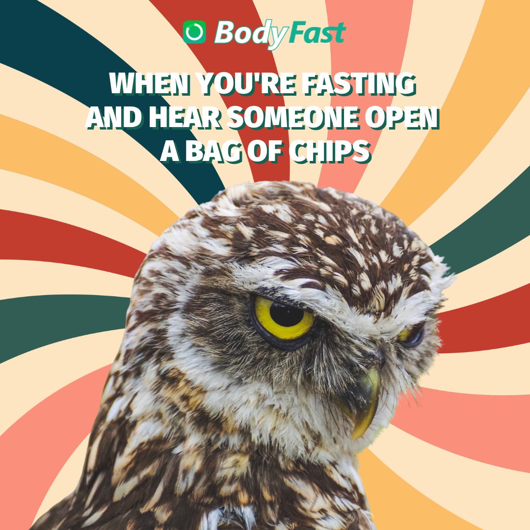 bodyfastapp's tweet photo. 🦉🍟 Inhale, exhale… 🚫😆

#IntermittentFasting #OwlMeme #FastingStruggles #TemptationTroubles #ResistTheChips #FastingProblems #StayStrong #WillpowerWins https://t.co/XfSK0bFQuj
