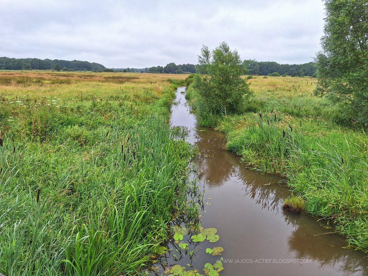 Jeaninebijker's tweet photo. Wandelen in de regen.. 🌧😊
#wandelen #regen #Noordenveld #drenthe #lieverschediep https://t.co/k5QmeMO3iO