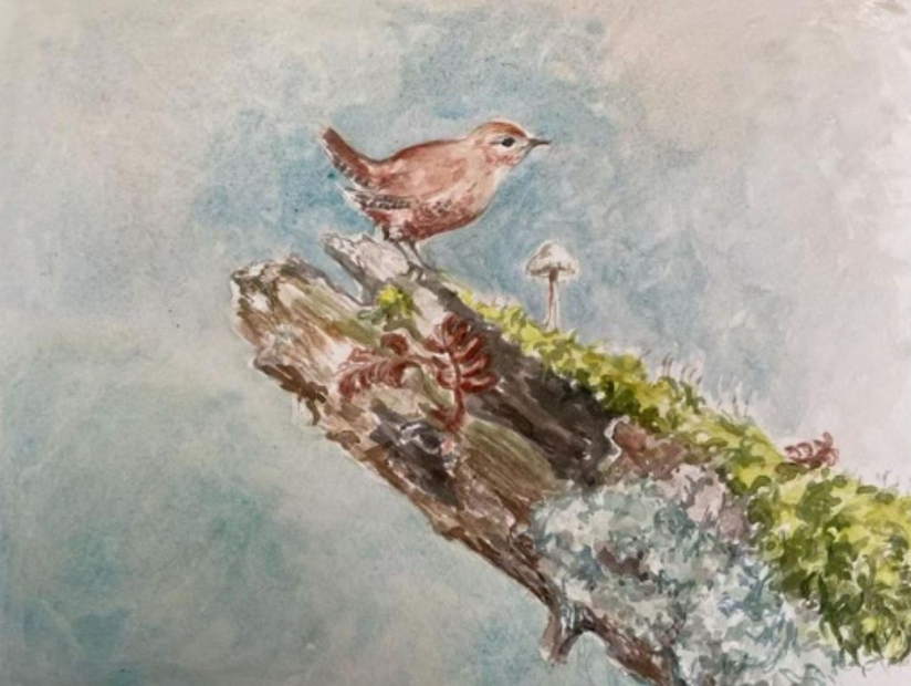 WWTCastleEspie's tweet photo. Whether you're a crafty kid, a wetland wanderer, or an admirer of the arts, we have something for everyone this weekend at #WWTCastleEspie πΈπ
β‘οΈ Read our full list of activities here: https://t.co/8Vl3T3mx1s
#DaysOut #WhatsOnNI #ThingsToDoInSummer https://t.co/tiDAiUtBUL