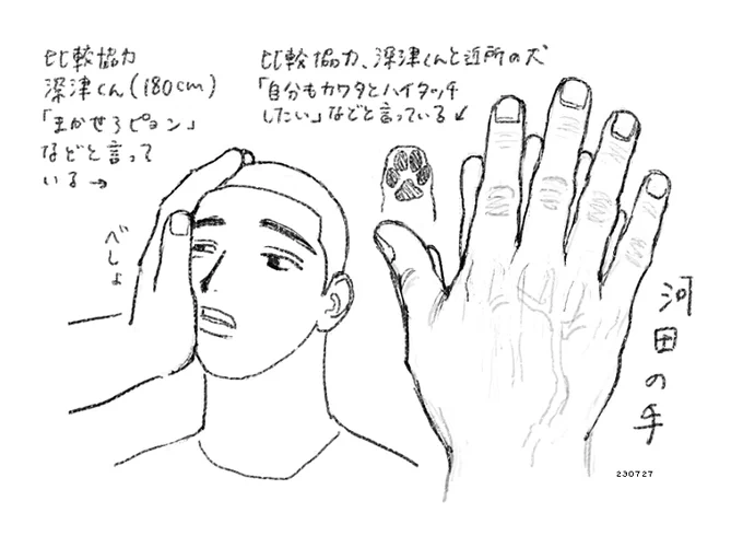 河田の手 