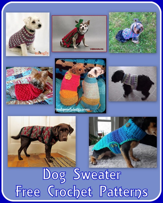 SaraSachCrochet's tweet photo. Dog Sweater Free Crochet Pattern Collection -https://t.co/SEgdNoGgav #crochet #crochetfordogs #crochetforpets #dogsweaters #freecrochetpattens https://t.co/67PhgOPyH4