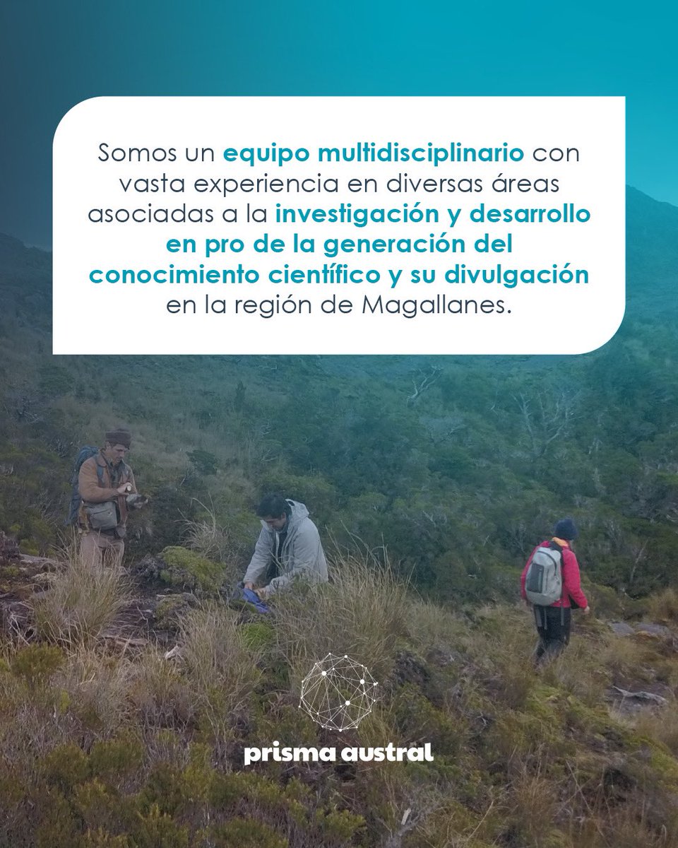Fundación Prisma Austral tweet media