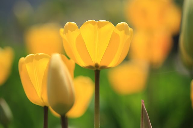 FrasesFranSales's tweet image. Amar lo que no es Él, sigue siendo amarlo a Él.
Resignarse a ser como los demás.
La fe es la comprobación, la culminación
y la prueba de la razón.

+ Maurice Blondel –cuad íntim

F: @hirohide15 
#DiosEsAmor #naturalezaCreada #razónFe #feRazón