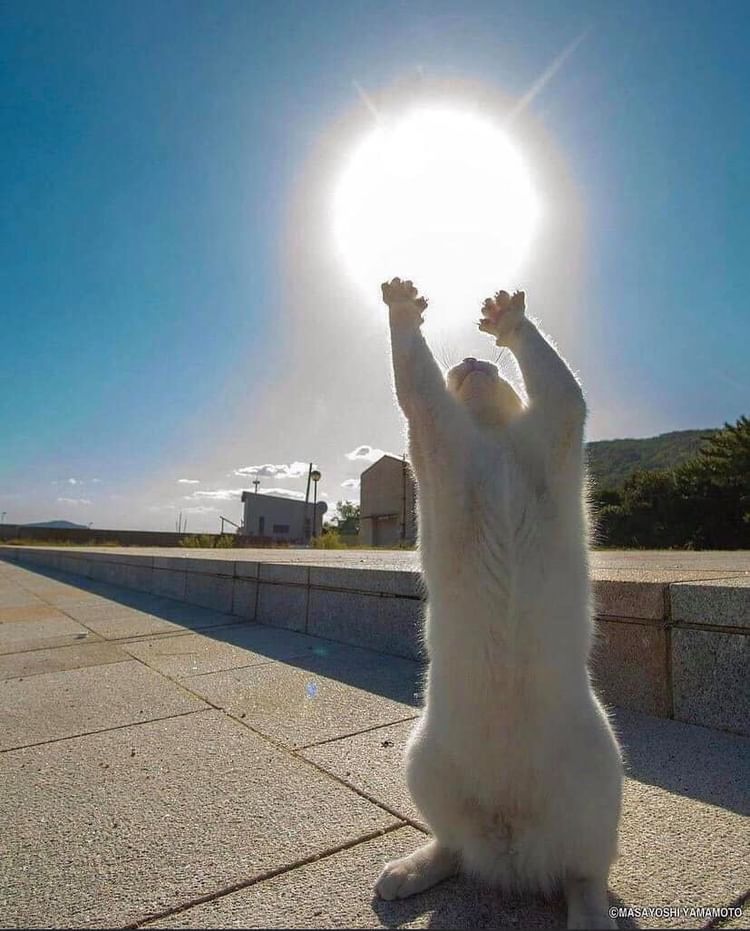 Bereshit2815's tweet photo. good morning my friends 🙏 https://t.co/IwCc4MJhop
