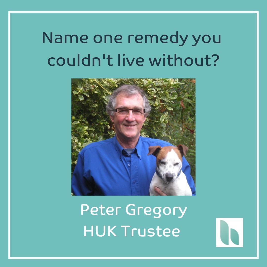 4Homeopathy's tweet photo. Tell us your favourite remedies! In @uk_homeopathy special pets issue of Health &amp; Homeopathy Magazine vet Peter Gregory, shares the homeopathic remedy he (and his patients) would struggle to live without🌿

“Professionally, I couldn’t do without Causticum”

#tryhomeopathy https://t.co/EHbePF7jiD