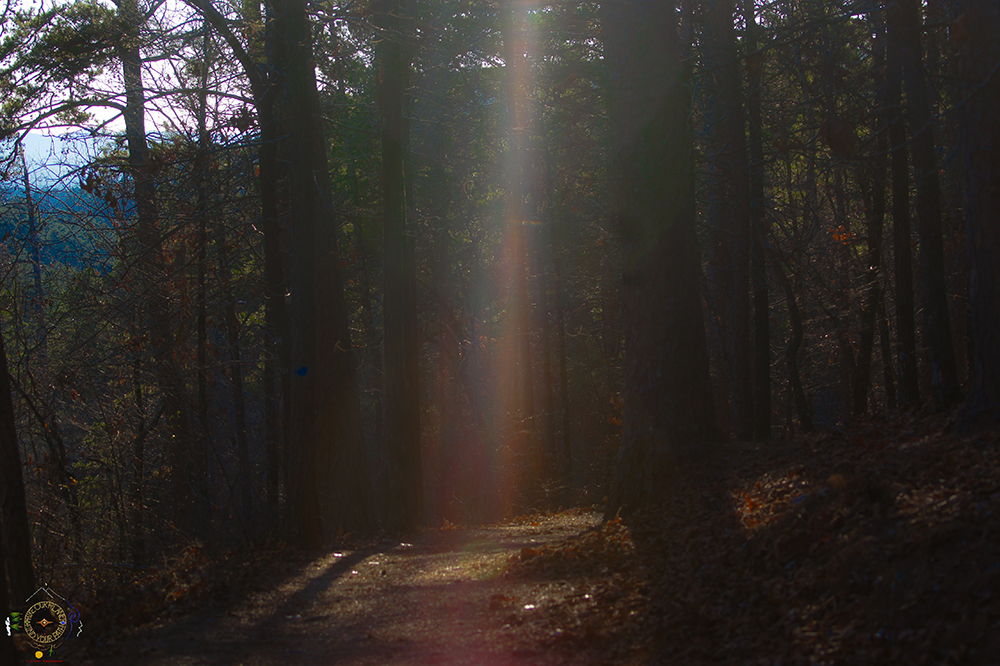 LeeHiller's tweet photo. "My Soul radiates Love as my path leads me into the flow of Universe." ~ @LeeHillerLondon #quotes 

#quoteoftheday #twilight #morningmuse #HikeOurPlanet #FindYourPath #hike #trails #outdoors #publiclands #hiking #trailslife #nature #photography #naturelovers #adventure https://t.co/jTvCoSbjQu