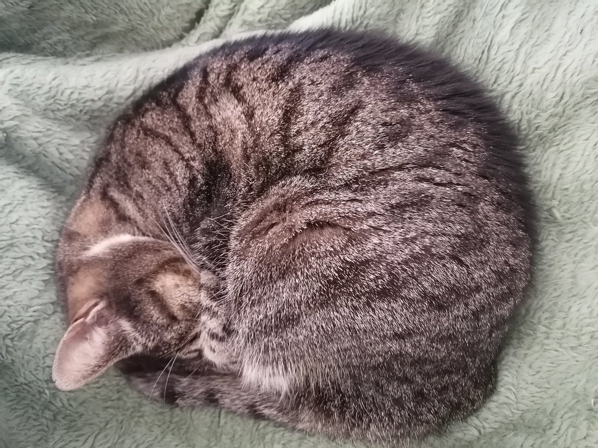 Look at this ball of cuteness❤️