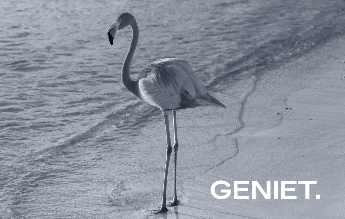 De <a href="/IVRM_Reputatie/">IVRM Reputatie</a>-nieuwsbrief van juli is uit. Het WK vrouwenvoetbal, crisiscommunicatiemythes, de sportcast, het komt allemaal aan bod. En collega <a href="/MariekeFilart/">MariekeFilart</a> stelt zichzelf voor. Veel lees- en luisterplezier en een goede zomer!
#reputatie #FIFAWWC

ivrm-reputatie.email-provider.eu/web/yujbbgwzfb…