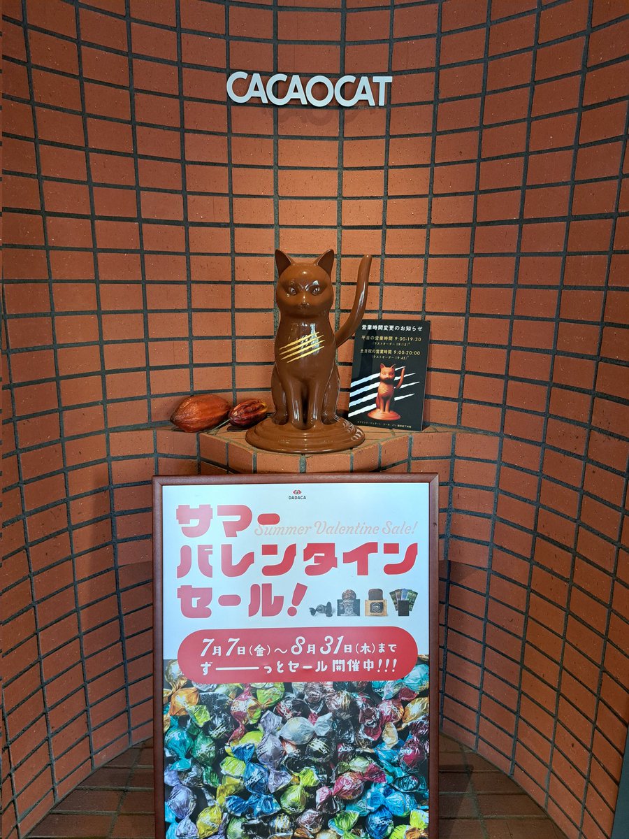 jill_et_shunya's tweet photo. 午後ティー飲みながら、目黒へ移動🚃
当日予約でもダメだった日があるみたいだから、半ば諦めつつ午前中電話📞したら予約できたので✨
行ってきたよ☺️CACAO CAT🐱
坂口くんファンには馴染みのある庭園美術館からもう少し白金台駅方面へまっすぐ行くと着きます☝🏻 https://t.co/cwLj6qfbCe
