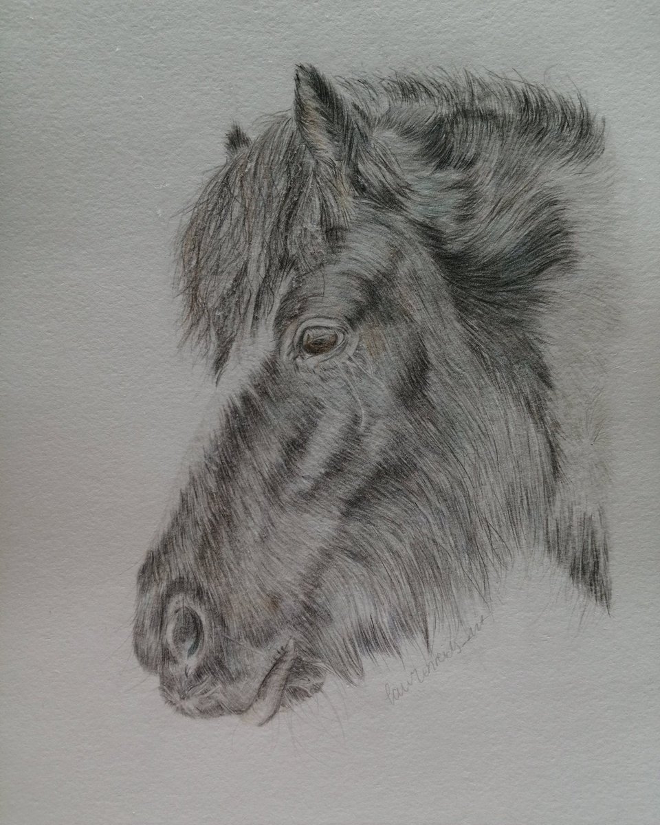 Finally finished my Dartmoor Pony portrait! I hope everyone likes him!

#dartmoorpony #dartmoor #equine #equestrian #animal #animalartist #portrait #portraitartist #colouredpencilportrait #art #artist #ArtistOnTwitter #Twitter