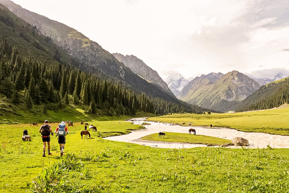 Mountain Ultra 2023 | Stage Two

Those of you who are as fixated on the tracking system as we are will already know that a number of runners have finished stage two. 

It's been a tough, tough day out there…

#mountainultra 1/4