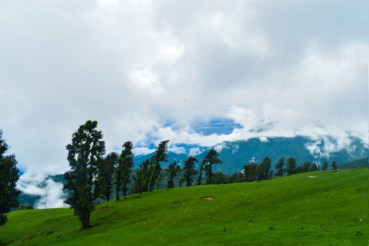sid_maithani's tweet photo. Chopta Tungnath 📍
#Uttarakhand #tungnath #chopta https://t.co/FmYQEePNLB