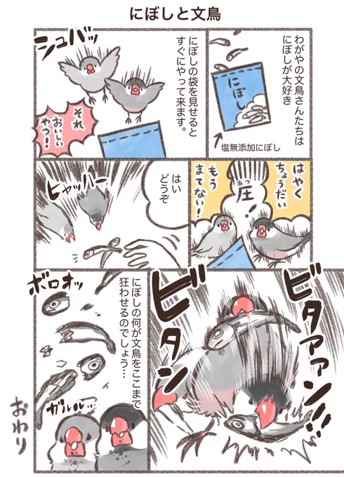 煮干しを見せると豹変する文鳥たち🕊️

#漫画が読めるハッシュタグ 